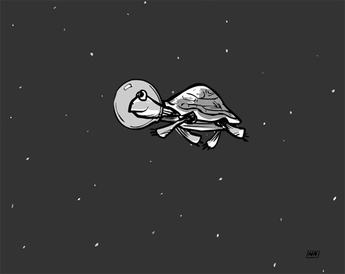 space_turtle.gif
